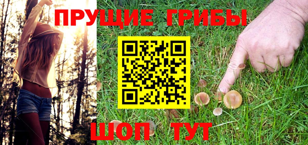 Псилоцибиновые грибы Magic Shrooms Нальчик