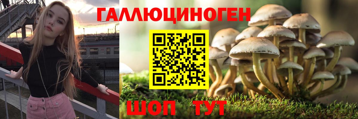Псилоцибиновые грибы Psilocybe  Псилоцибиновые грибы Magic Shrooms  Нальчик  Вход с VPN 